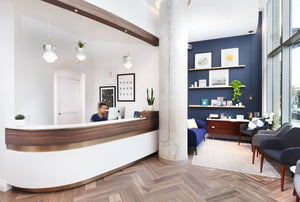 Bithaus dental office reception with Hemisphere Pendant Planters above the desk