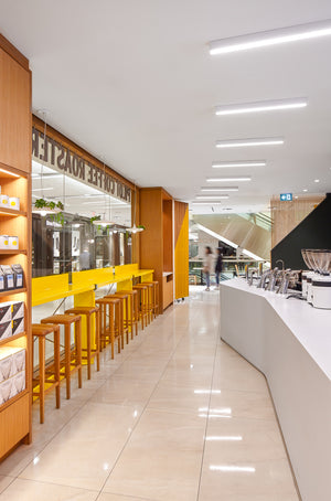 Babylon Lights, pilot roasters coffee