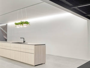 Well Planter Lights at IDS Toronto