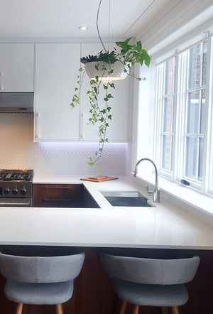 Well Planter Light in a modern kitchen