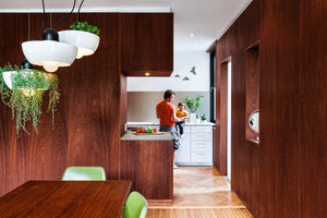 Well Light Planters hanging above a dining room table