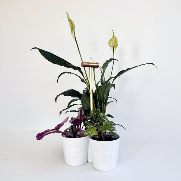 3D printed Caddie Carrier for plants / wine