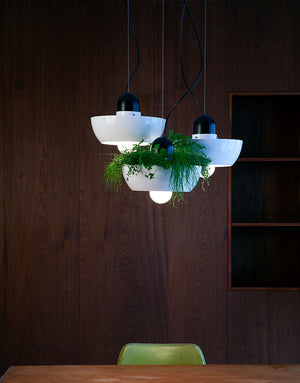 Well Light Planters hanging above a dining table in a mahogany panelled room