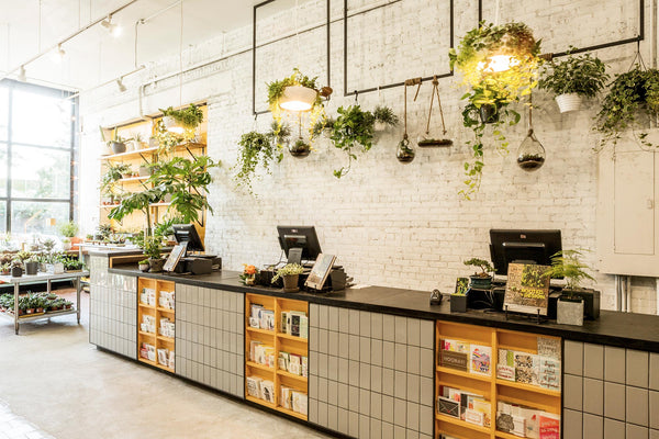 Well Planter Lights above the checkout desk in Sprout garden store, brooklyn