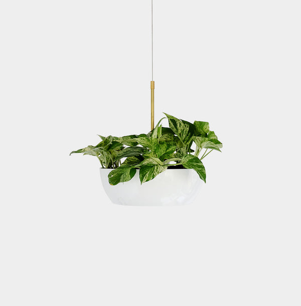 A hanging planter with a white aluminum frame and brass spindle, featuring green cascading plants.