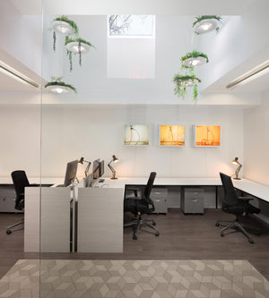 Office interior with clusters of Babylon Lights hanging in an atrium with plants cascading down