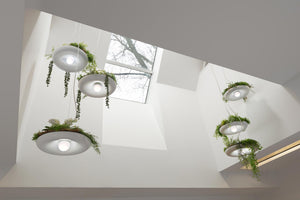 Babylon Light clusters hanging in an office atrium
