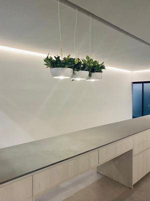 Well Planter Lights hanging over kitchen counter of Reset House, feature exhibit, IDS2020