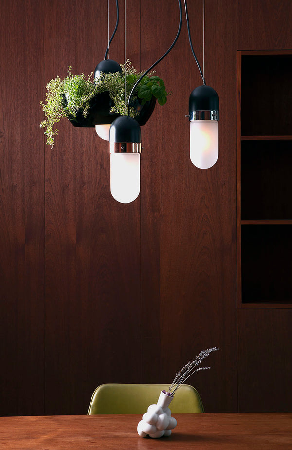Well Light — Pilule