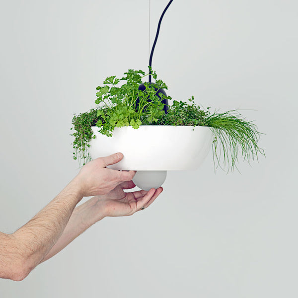 Well Light — Planter (ONLY 1 LEFT)