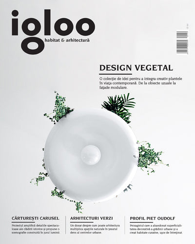 igloo magazine cover