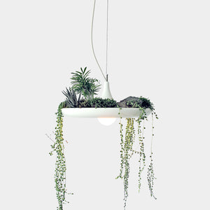 Babylon Light is a plantable light fixture for creating hanging gardens