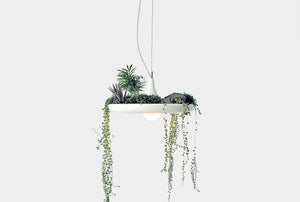 Babylon Light is a plantable light fixture for creating hanging gardens