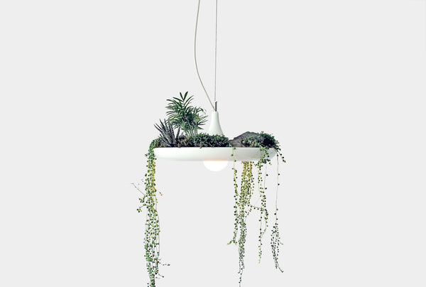 Babylon Light is a plantable light fixture for creating hanging gardens