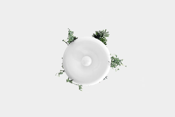Babylon Light plantable ceiling light with G25 light bulb as seen from below with plants cascading over the edge