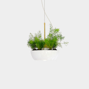 Well Planter Light: A modern white hanging planter with plants, suspended by a gold-colored spindle made of brass, modern minimal functional design