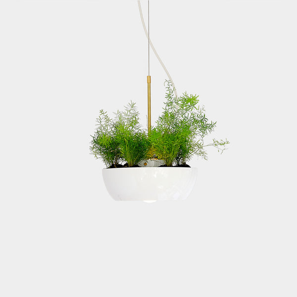 Well Planter Light: A modern white hanging planter with plants, suspended by a gold-colored spindle made of brass, modern minimal functional design
